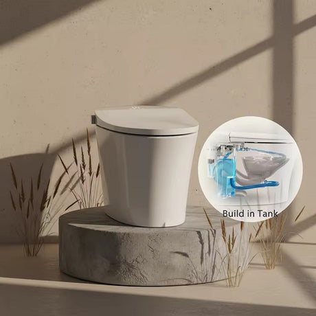 Cascada Florence smart toilet Front-side view showing soft-close lid and rotary knob control