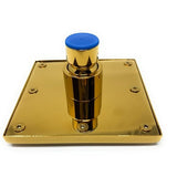 Gold-plated square shower wall mount with a central cylindrical connector capped with a blue plastic cover.