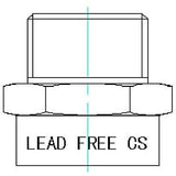 G Thread (Metric BSPP) Male to NPT Female Adapter - Lead Free (3/4" x 3/4") - Cascada Showers, cascada 3/4 inch pipe fitting plumbing adapter, 3/4 g male to npt 3/4 female connector, g 3/4 to npt female adapter fittings, 3/4 pipe fitting connector, male to female fitting adapter, brass pipe fitting adapter, pipe fitting, 2 hose connector, 3/4” G male x 3/4” NPT female Connector, 3/4 g thread, bspp adapter, is g thread compatible with npt