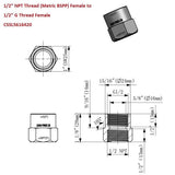 G Thread (Metric BSPP) Female to NPT Female Lead-Free Adapter (1/2" x 1/2") - Cascada Showers